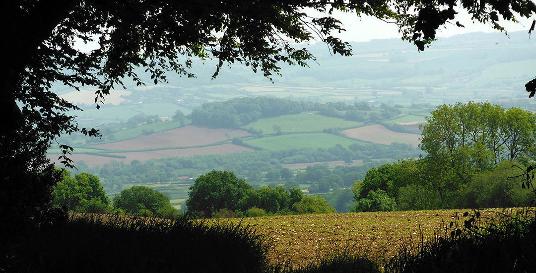 Blackdown Hills Somerset DevonClinic Homeopathy acorn homeopathy index _op